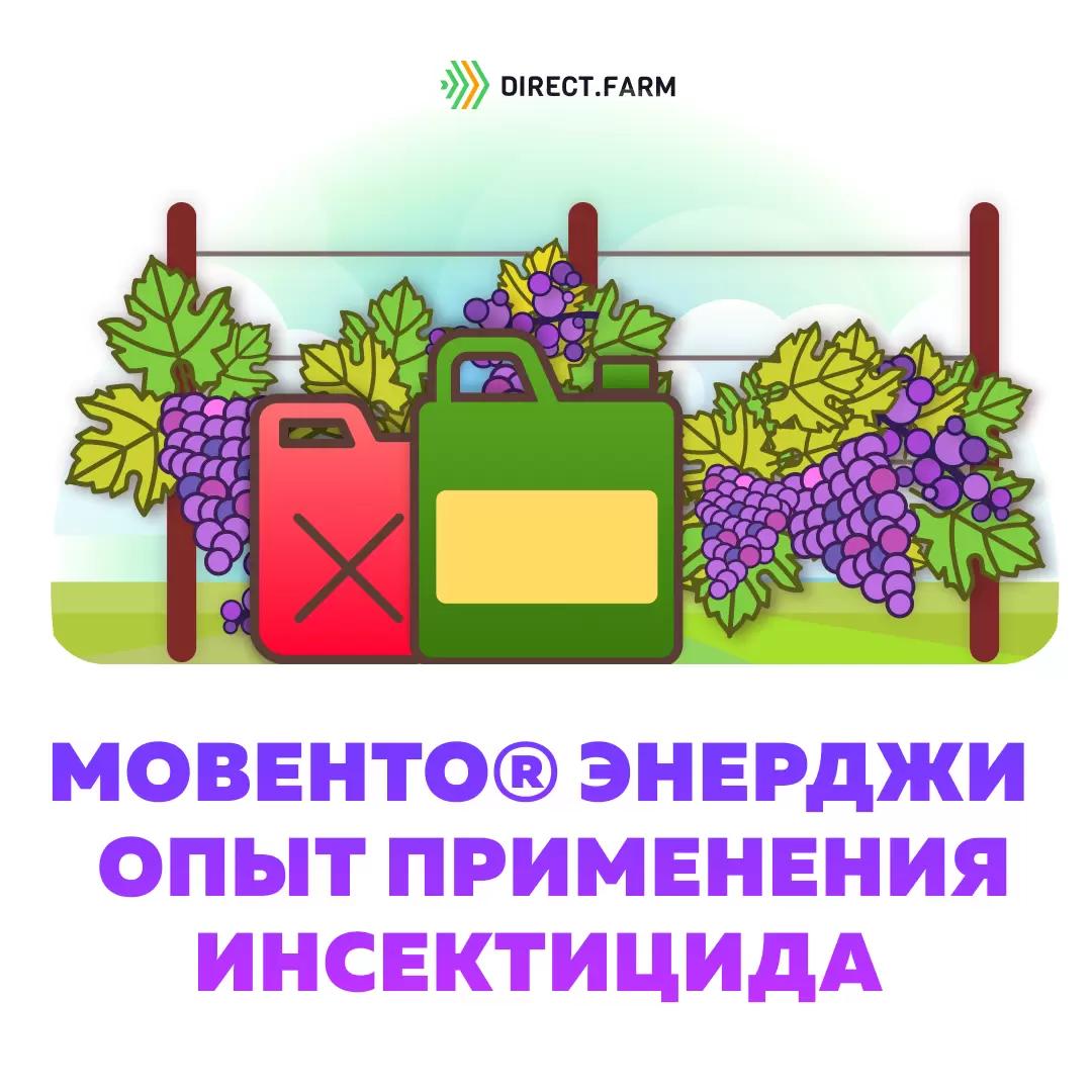 Мовенто® Энерджи, КС – опыт применения инсектицида