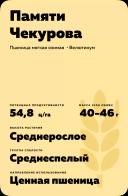 Памяти Чекурова