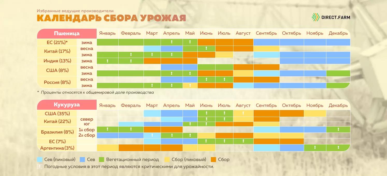 Календарь сбора урожая самых популярных культур: данные АМИС