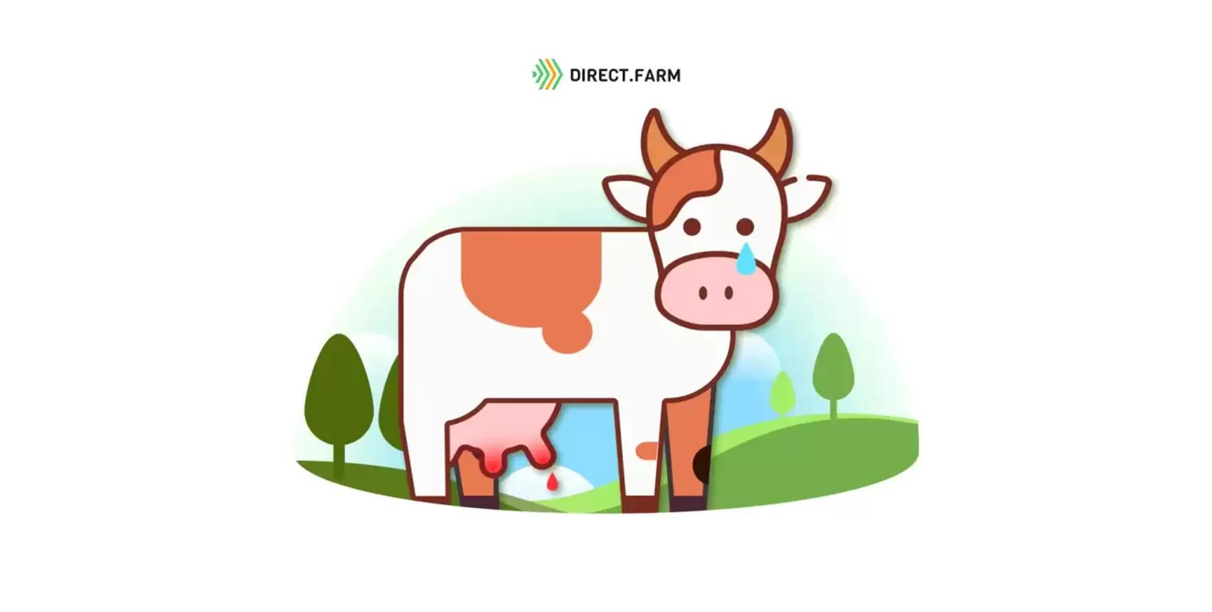 Подборка статей по маститам коров