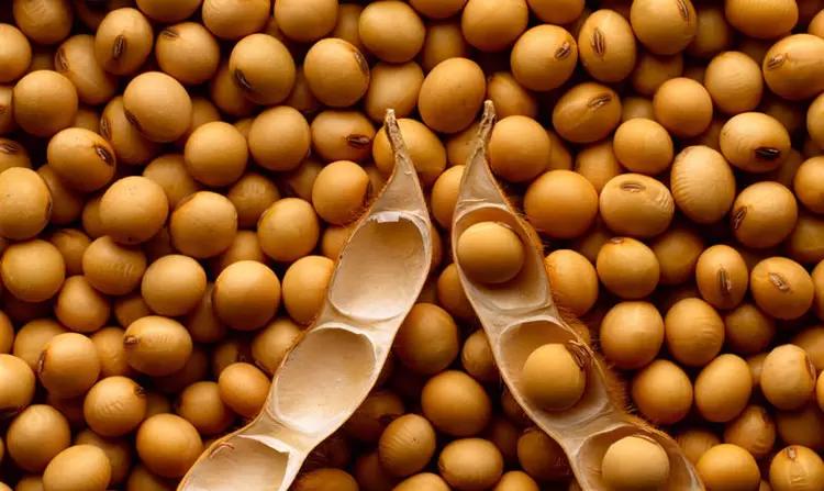 Сельхозпроизводители ПФО взволнованы запретом на ввоз семян из Европы и Канады