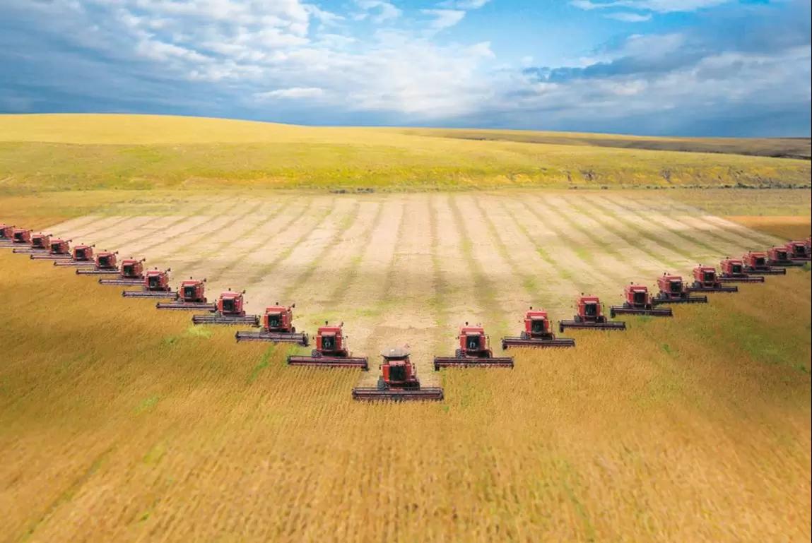 Бюджет России получил 250 млрд рублей от зерновых пошлин за 2 года