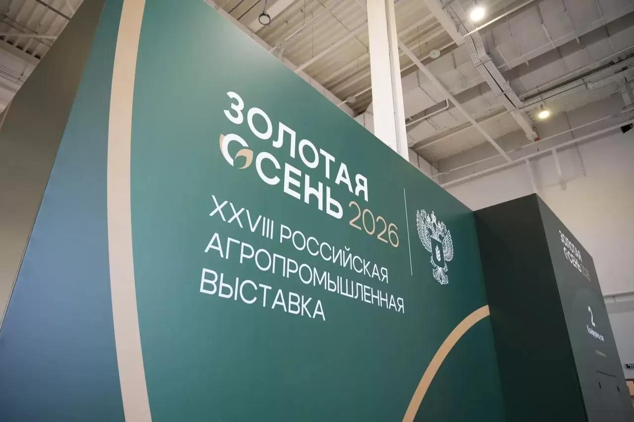 От урожая до прилавка: хранение решает