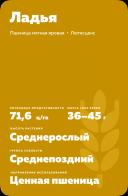 Ладья сорт мягкой яровой пшеницы