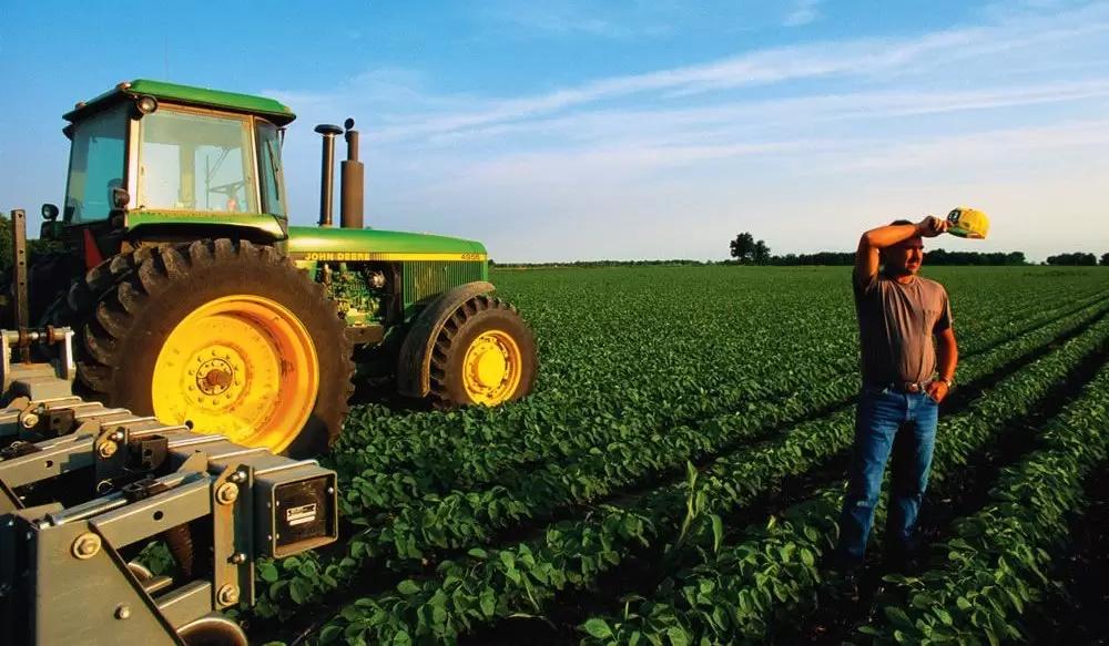 Рентабельность в растениеводстве может снизиться до уровня 2019 года