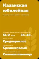 Казанская юбилейная