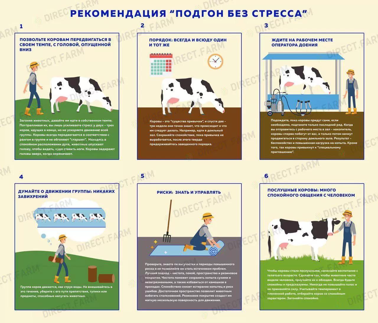 Подгон без стресса