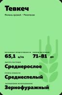 Тевкеч сорт ярового ячменя