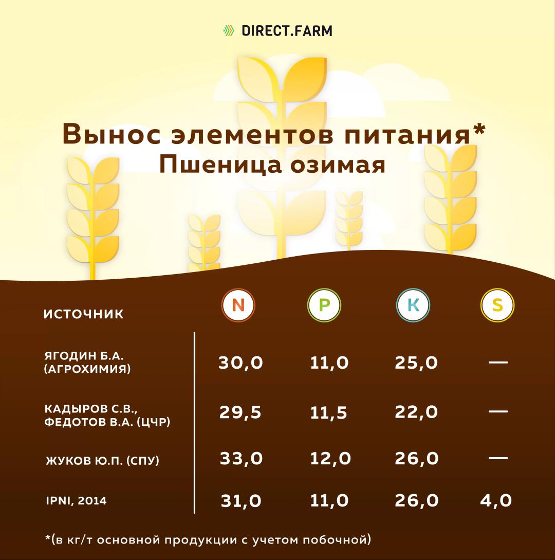 Вынос элементов питания озимой пшеницей