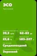 ЭСО (ESO) сорт зернового гороха