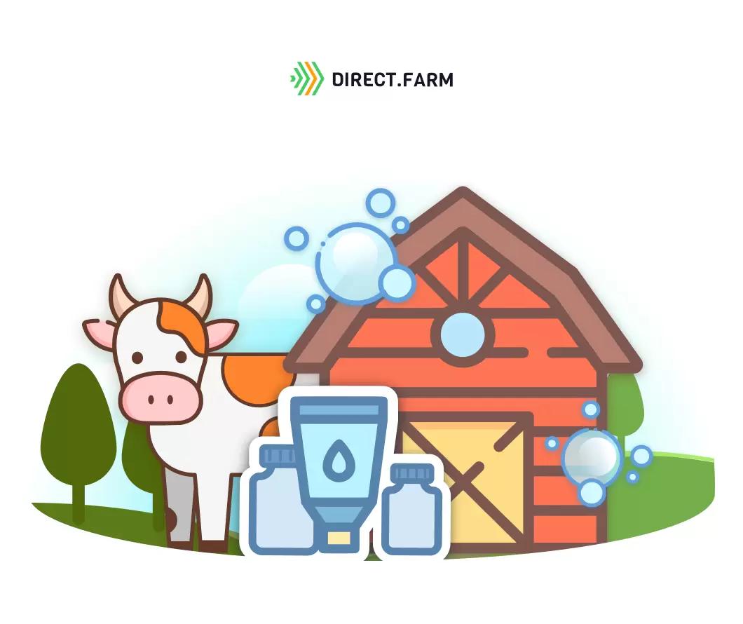 Как дезинфицировать коровники при круглогодовом стойлом содержании?