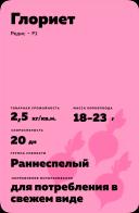 Глориет F1 (GLORIETTE)