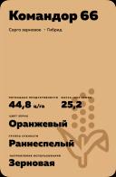 Командор 66 гибрид сорго