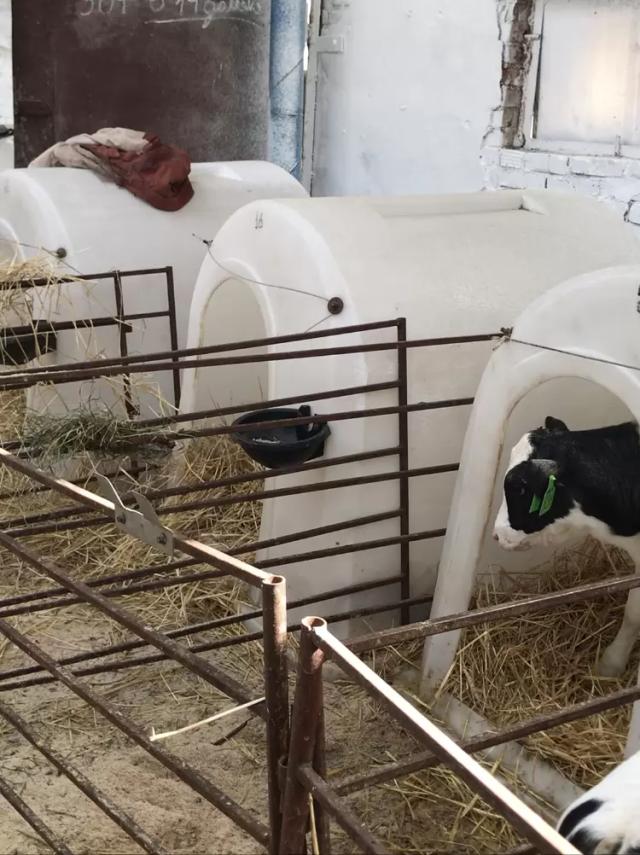 Использование поведенческих инстинктов животных в технологиях содержания