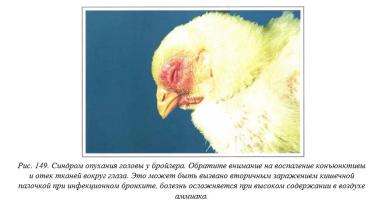 Вегад - Атлас болезней птицы. Ч. 33, 34. Синдром опухания головы. Обезвоживание