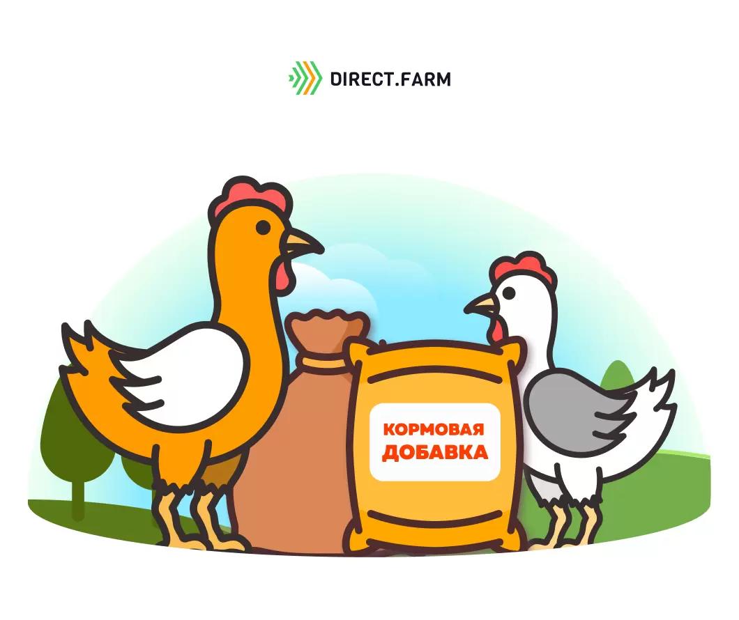 Как применять кормовые добавки для несушек?