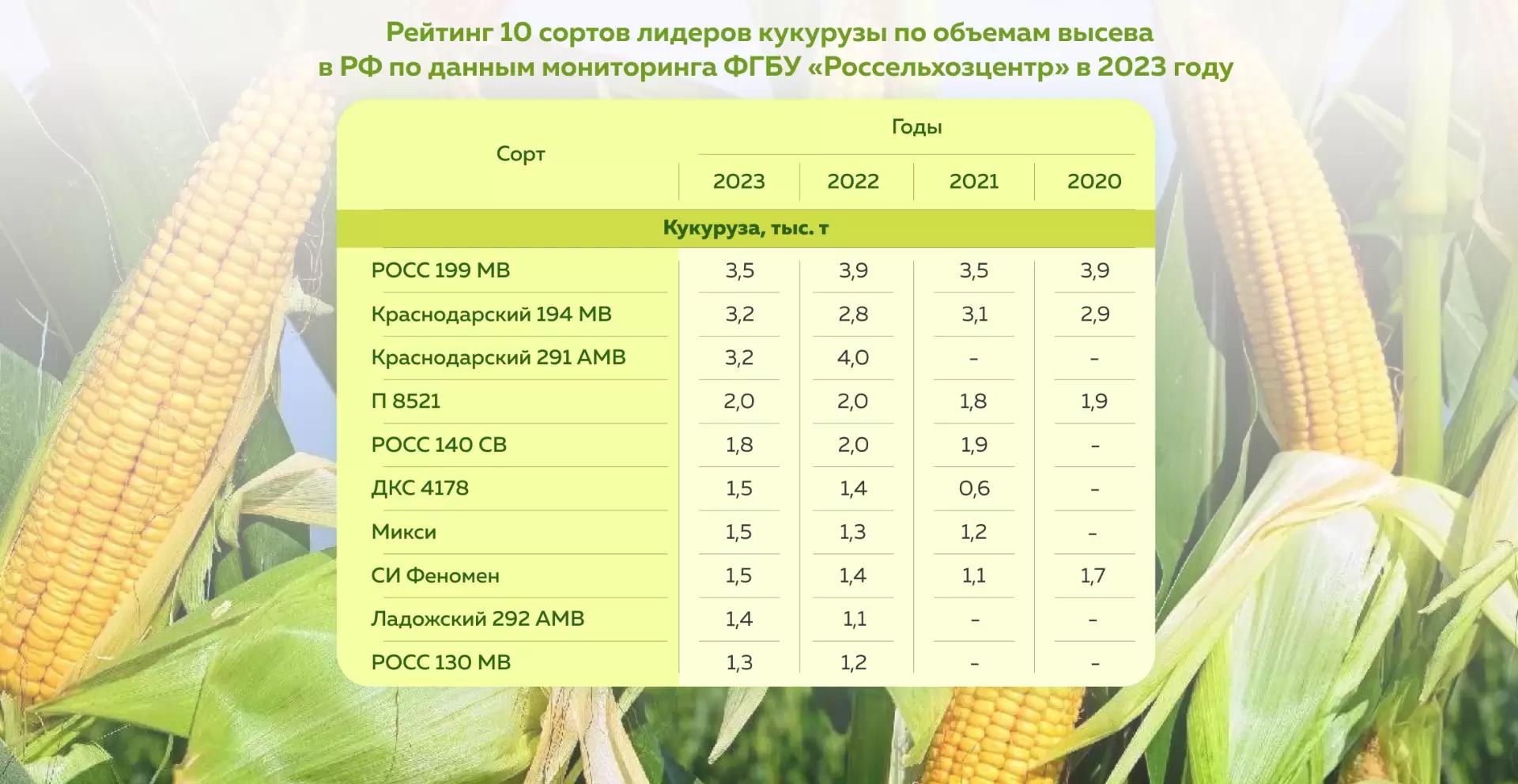 Топ гибридов кукурузы за 2023 год