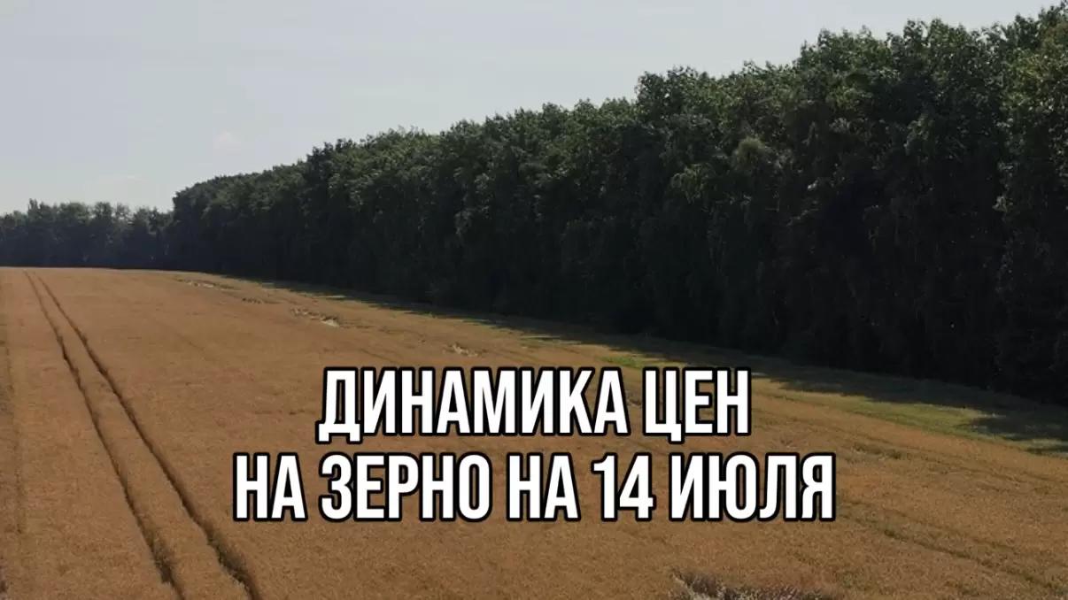 ДИНАМИКА ЦЕН НА ЗЕРНО НА 14 ИЮЛЯ