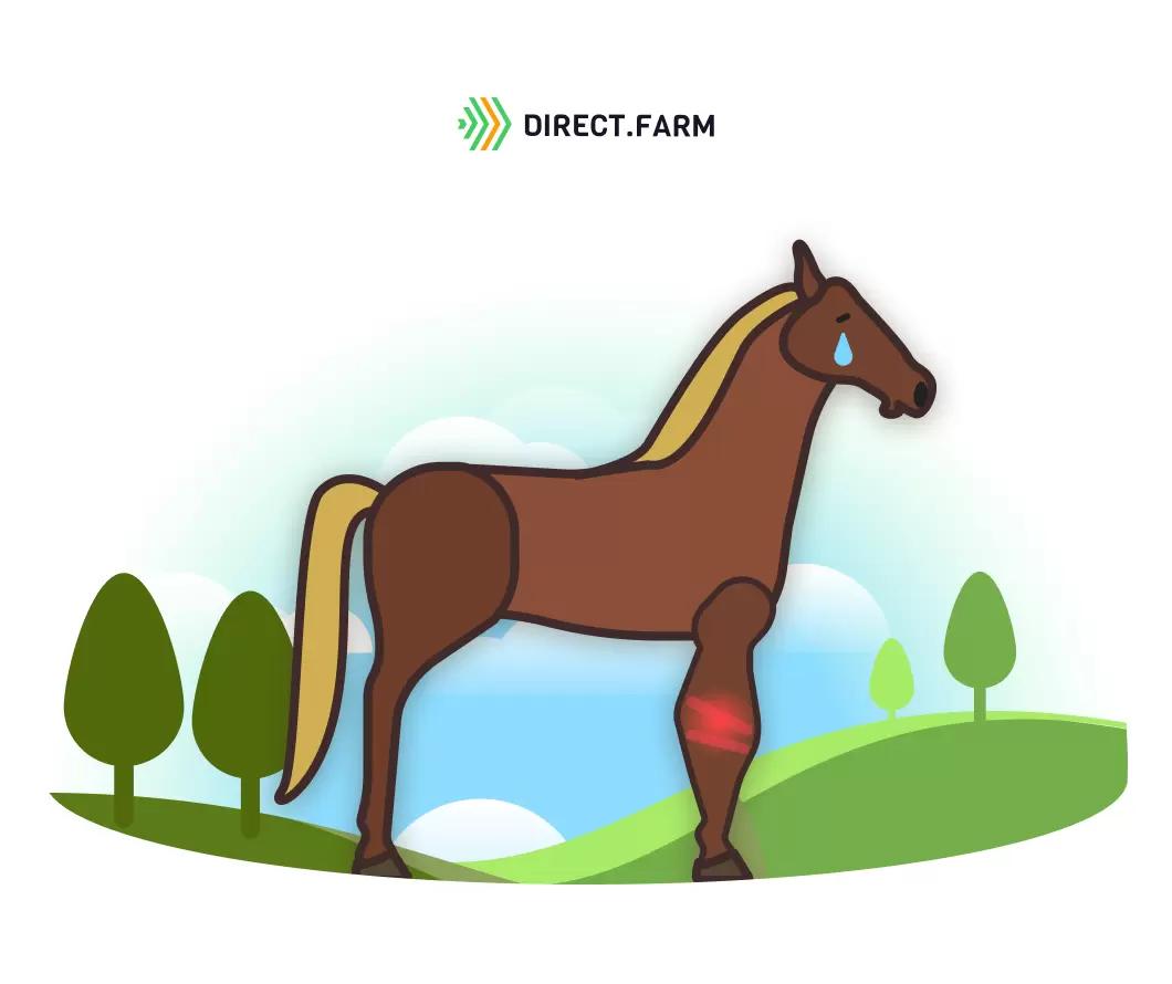 Как снять отек с конечности жеребенка?