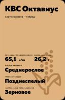 КВС Октавиус (KWS OCTAVIUS) сорго зерновое