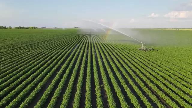 Орошение как вид земледелия. Насколько и где оправдано и необходимо