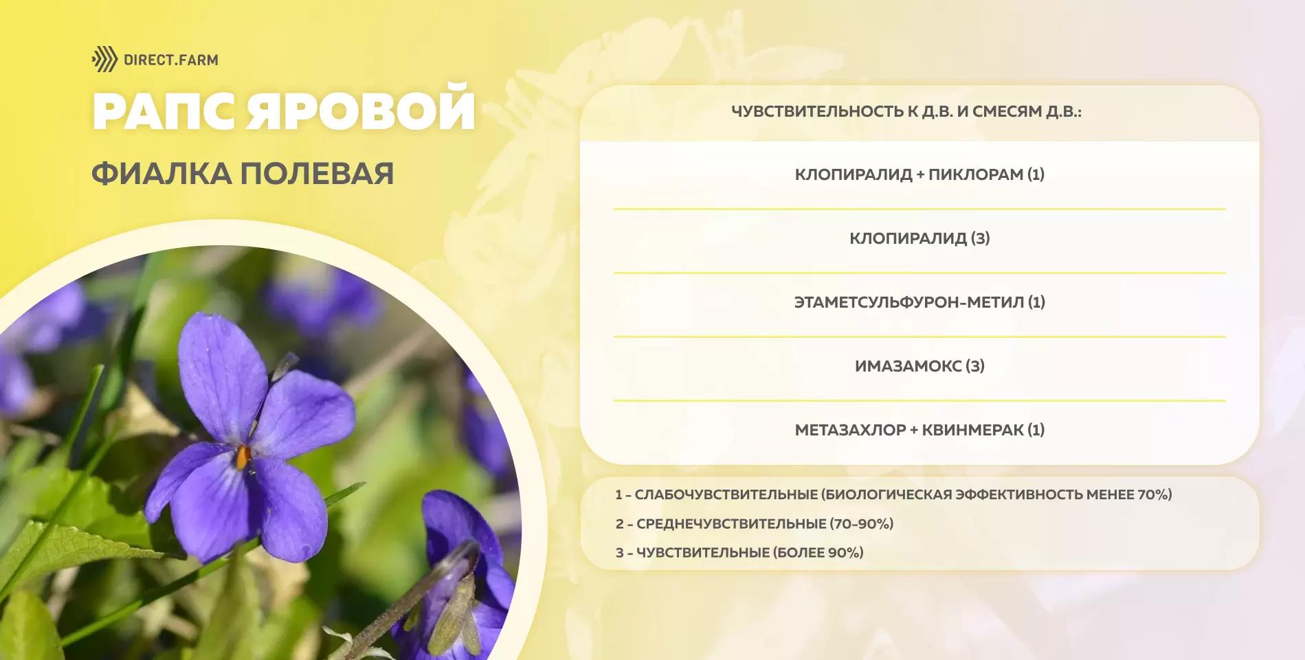 Шпаргалка чувствительности фиалки полевой к д.в. гербицидов