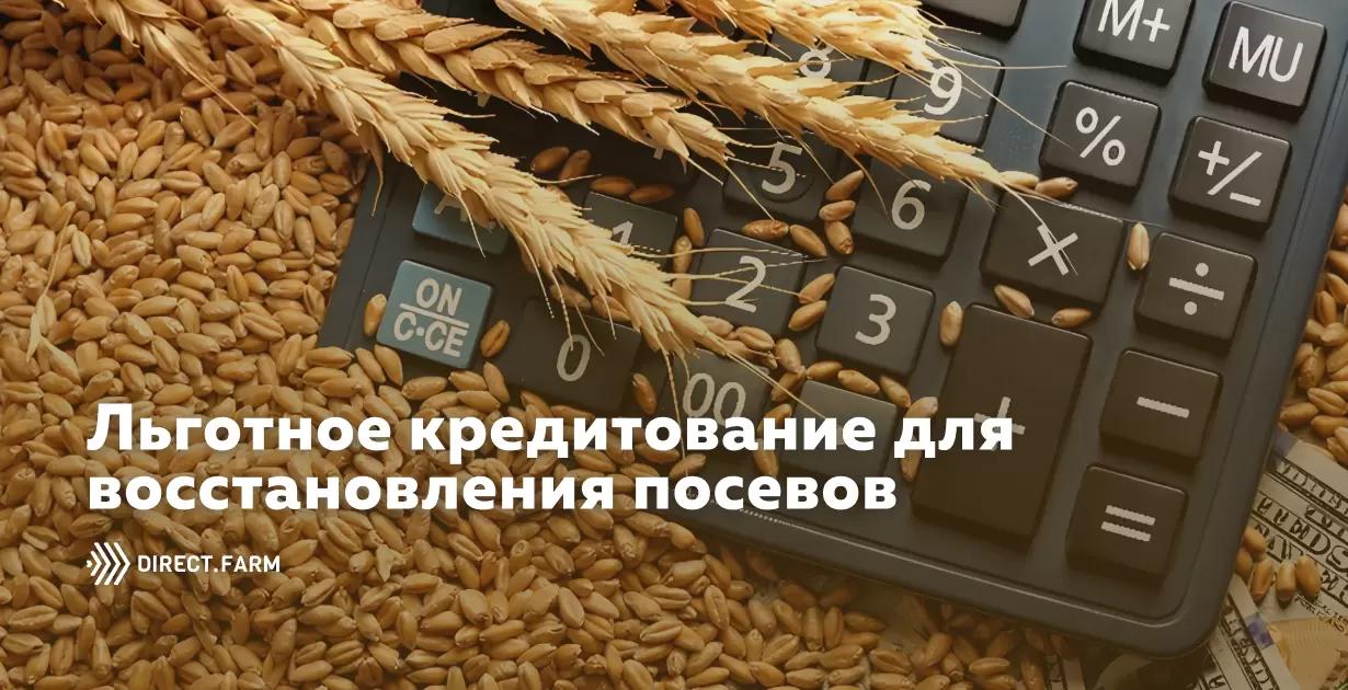 Льготное кредитование в помощь сельхозпроизводителям