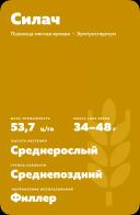 Силач сорт мягкой яровой пшеницы