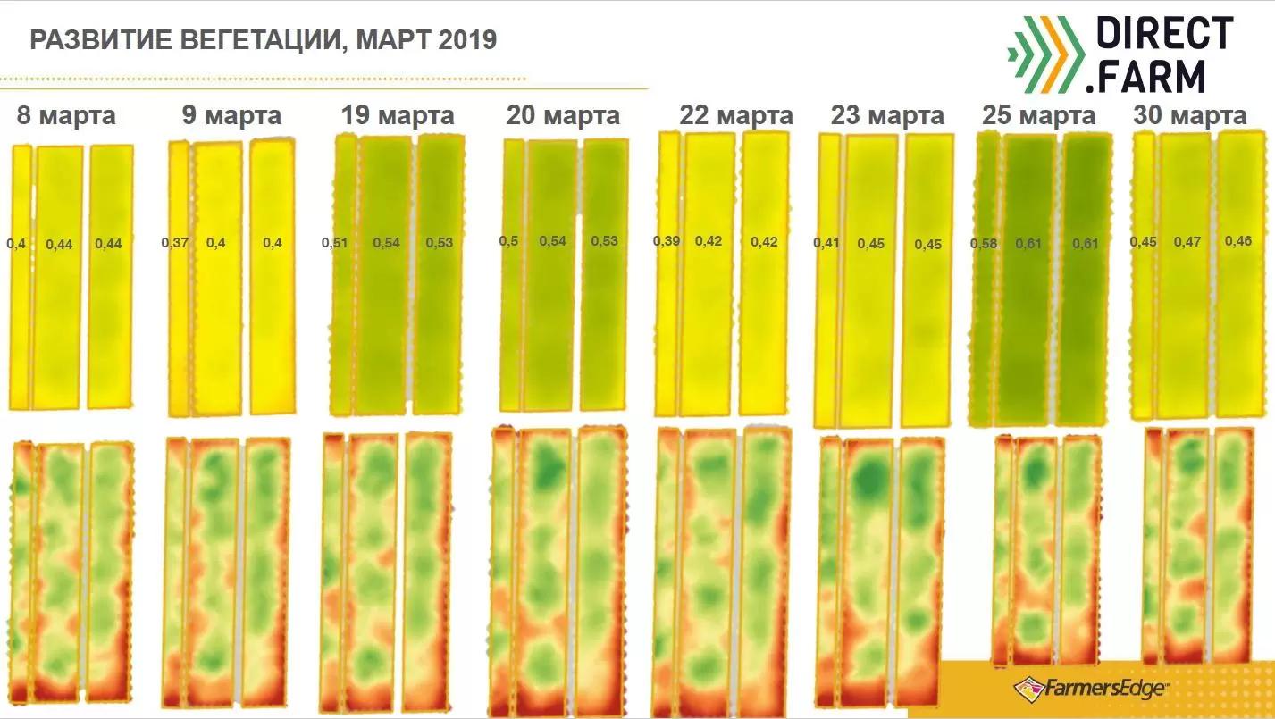 NDVI на эксперименте Дискование, Вспашка, Ноу Тилл (2019)