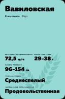 Вавиловская рожь озимая