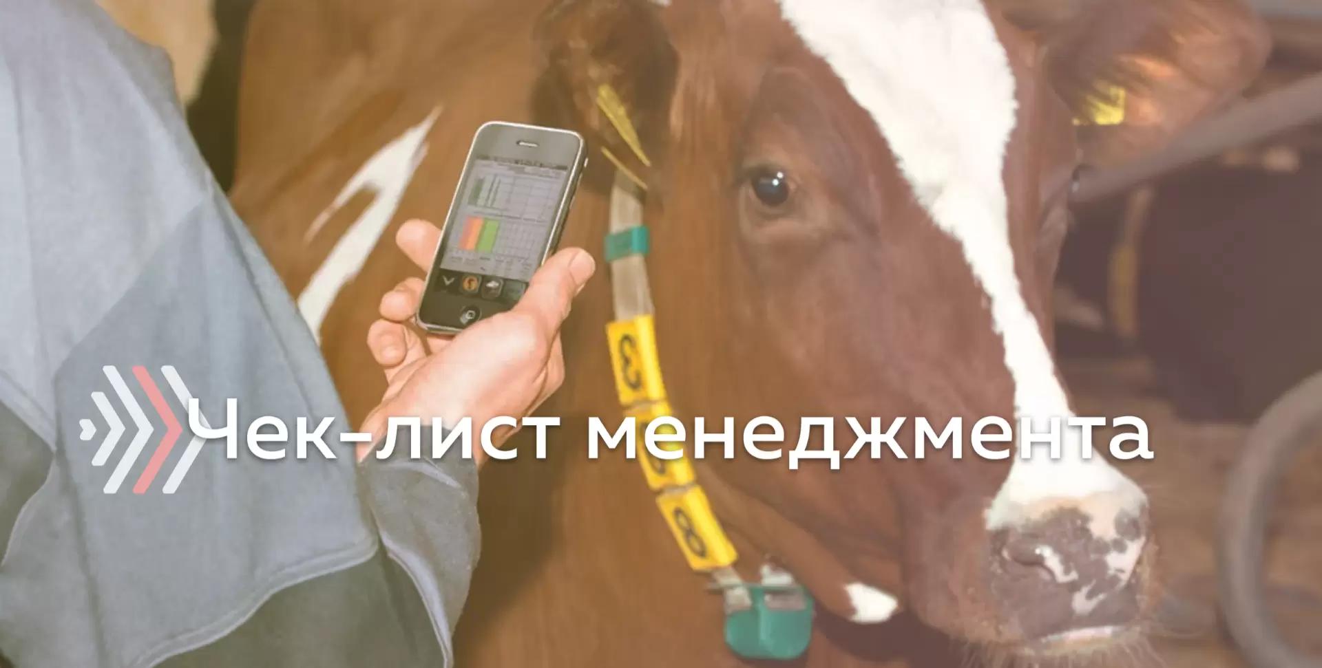 Чек-лист для оценки менеджмента на ферме