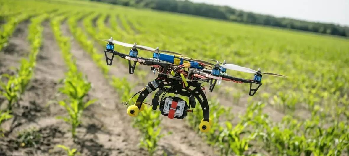 Каждый 5-й фермер в РФ к 2025 году будет обрабатывать земли с помощью дронов