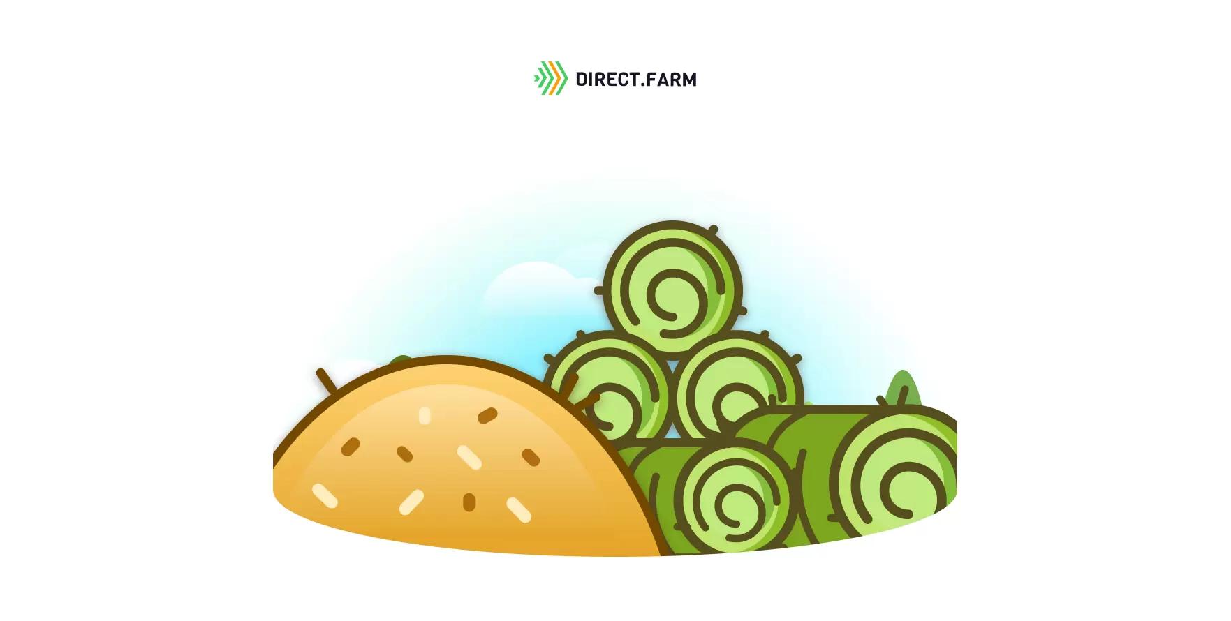 Сроки уборки люцерны на сено и сенаж