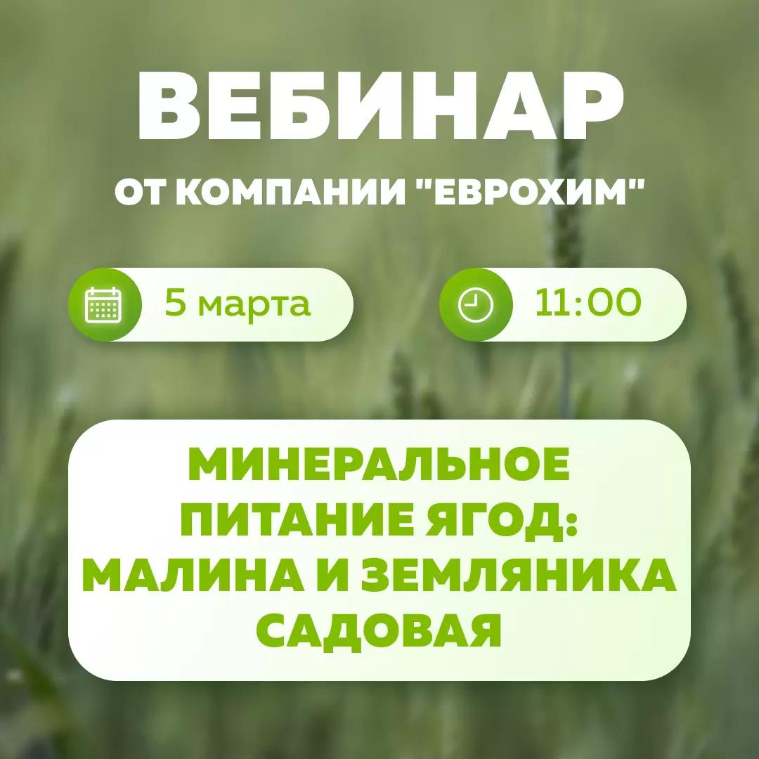Вебинар "Минеральное питание ягод: малина и земляника садовая"