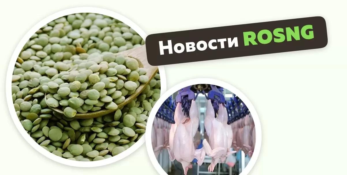 Обзор новостей за 28-29 октября