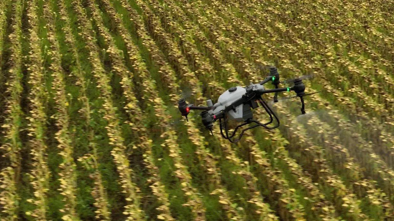 ИИ и дроны – роскошь или необходимость для малого фермера?