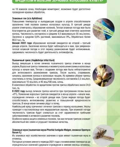 Обзор фитосанитарного состояния Краснодарского края и прогноз на 2022 год