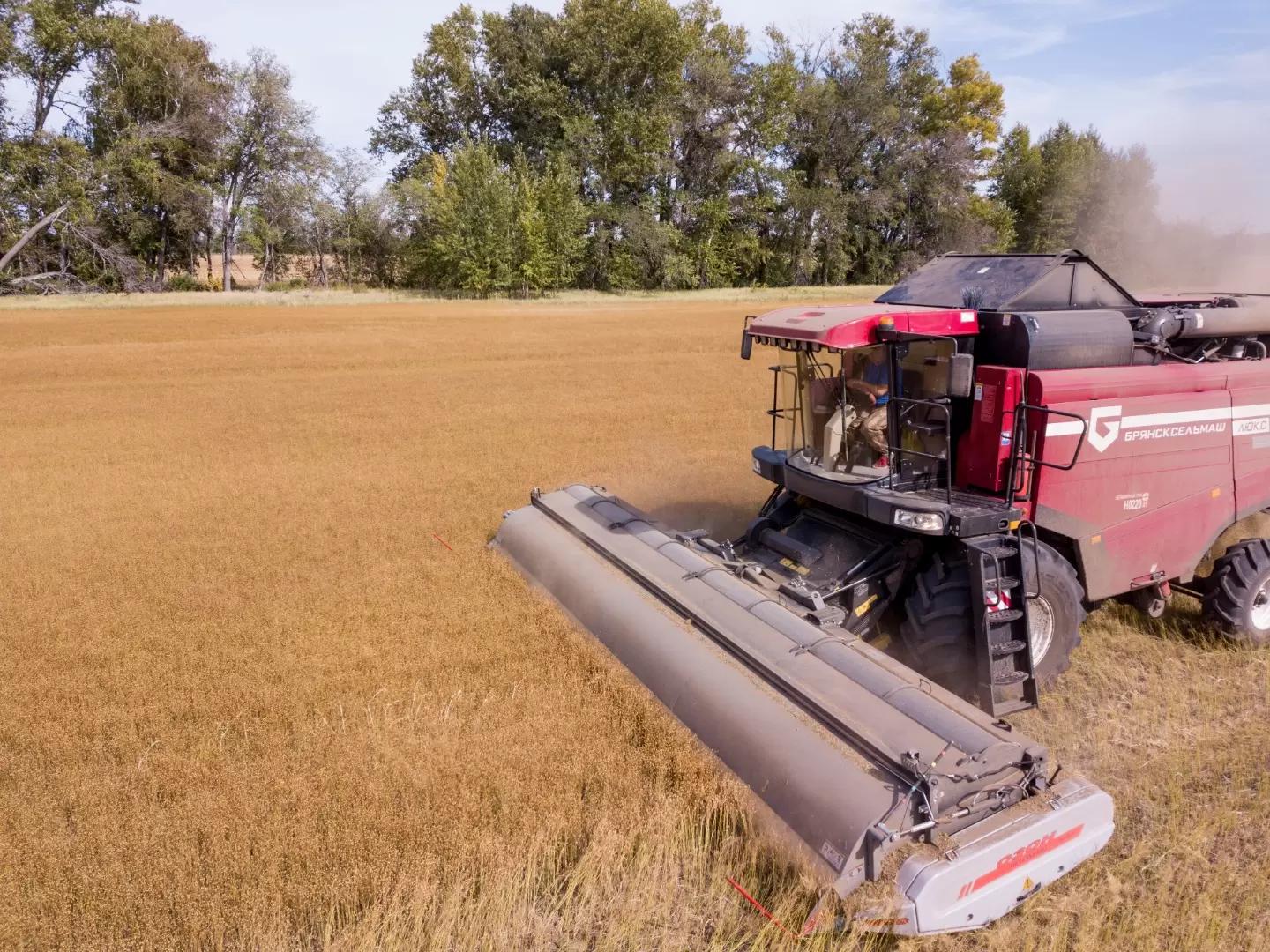 Очесывающая жатка "ОЗОН" - доказанная эффективность!