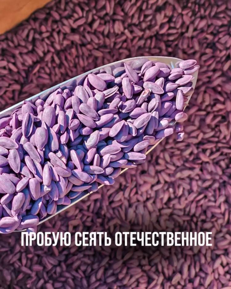 ПРОБУЮ СЕЯТЬ ОТЕЧЕСТВЕННОЕ