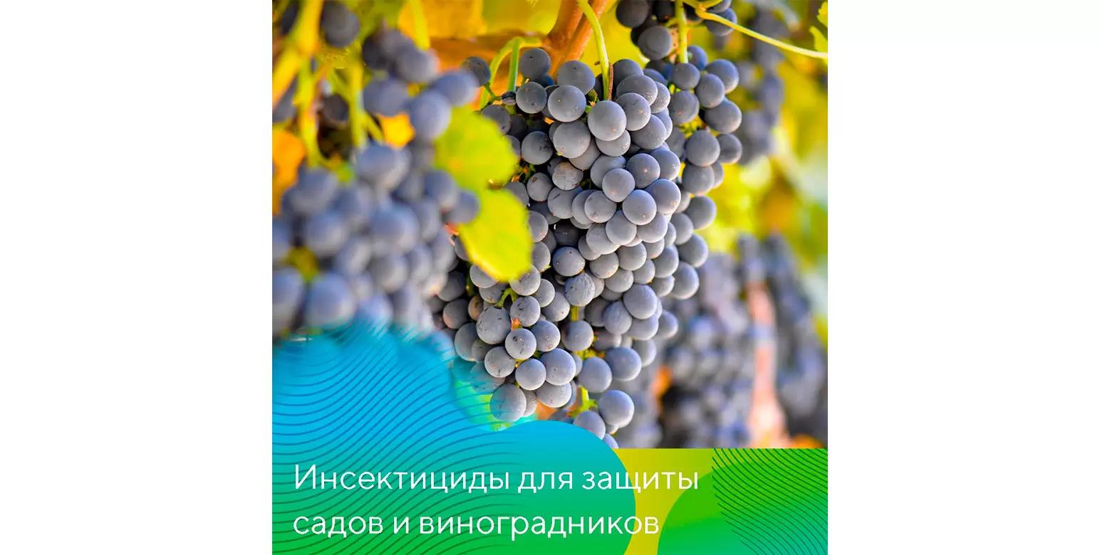 Препараты для защиты садов и виноградников от вредителей