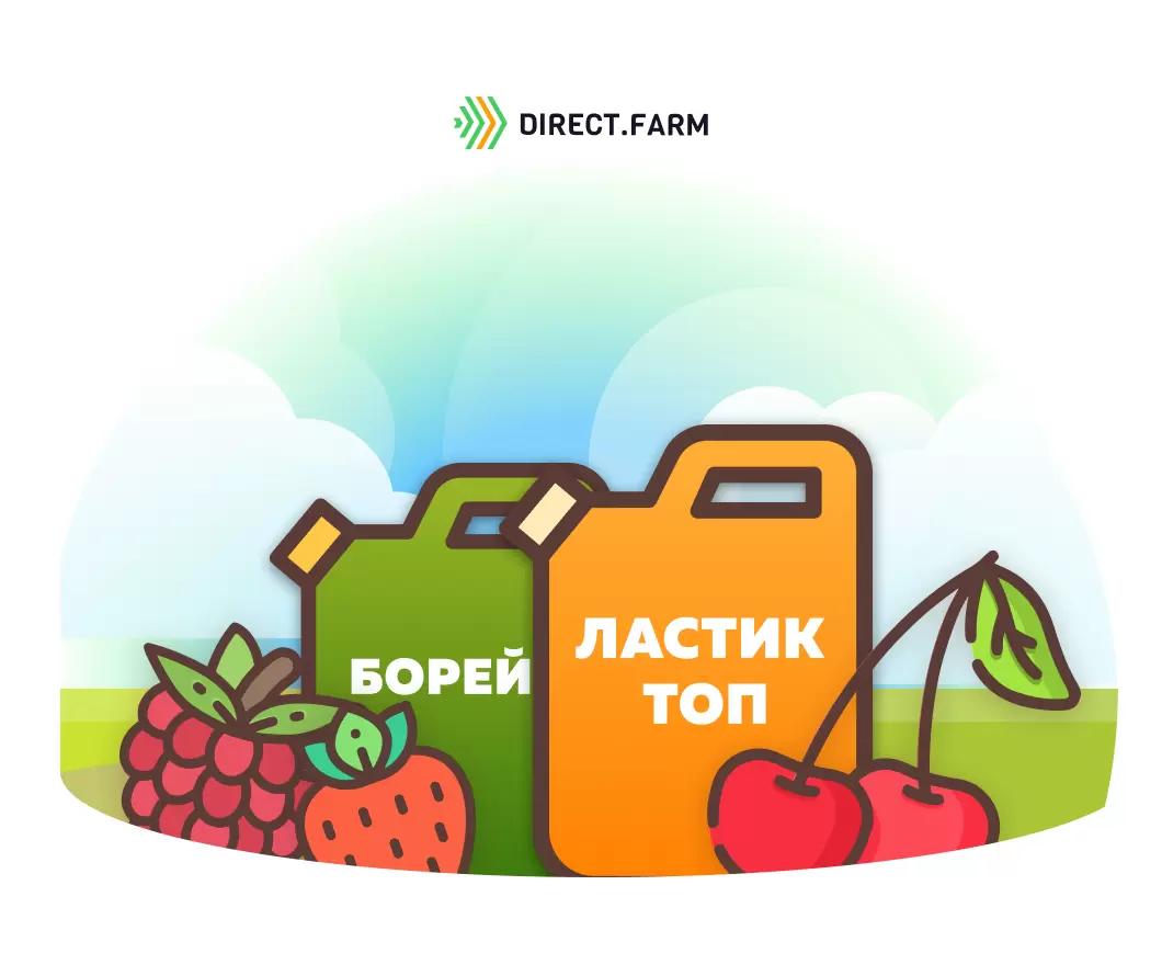 Каково действие препаратов Ластик Топ и Борей на овощные и ягодные культуры?