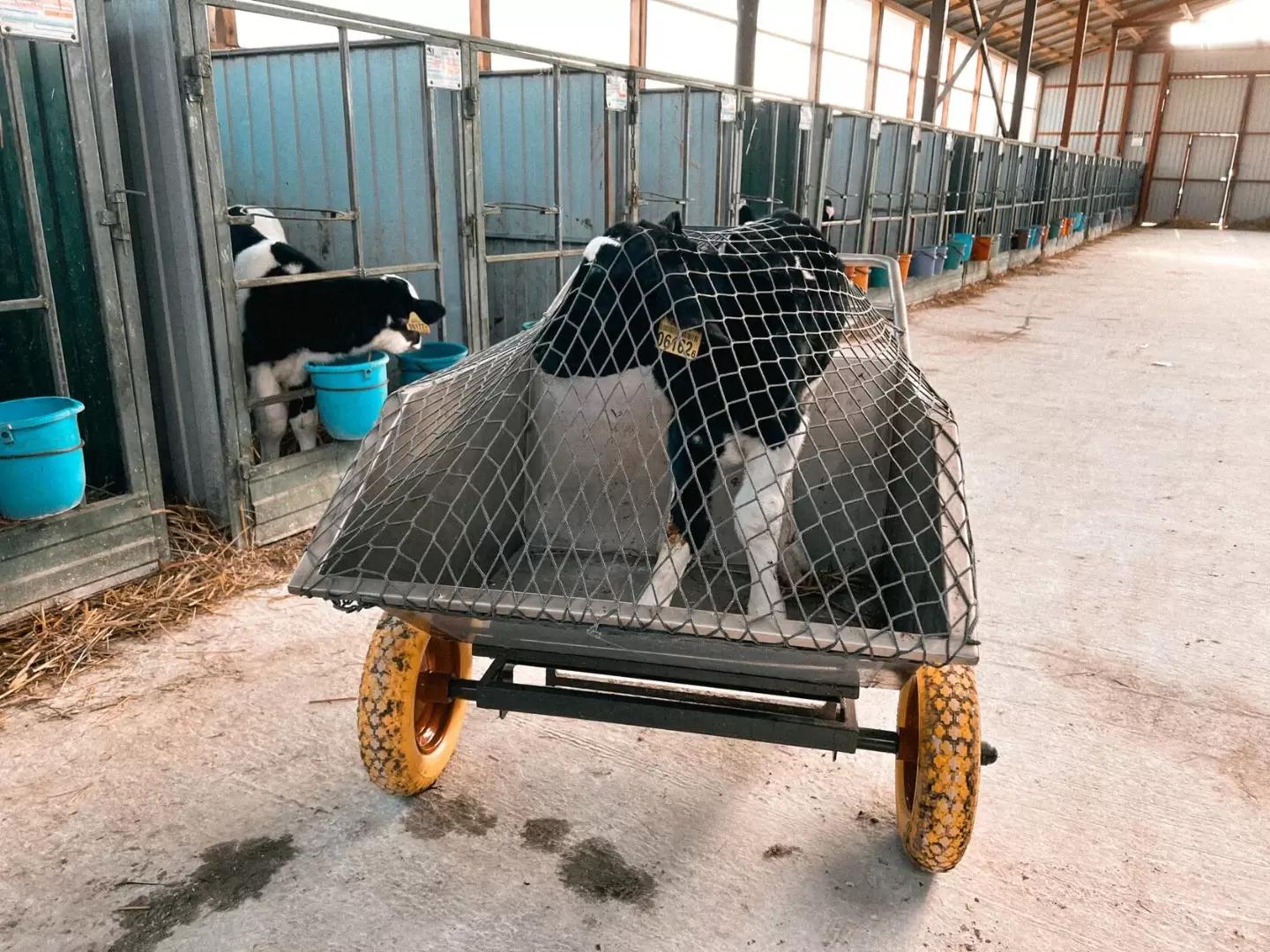 Чем мы занимаемся?