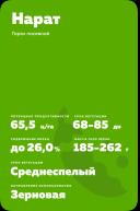 Нарат ® - сорт гороха посевного (Pisum sativum L.).