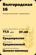 Белгородская 16 сорт мягкой озимой пшеницы