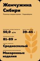 Жемчужина Сибири