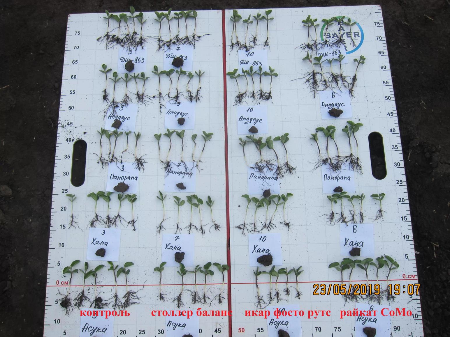 стимуляторы семян сои