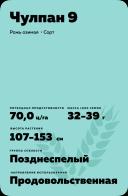 Чулпан 9 рожь озимая