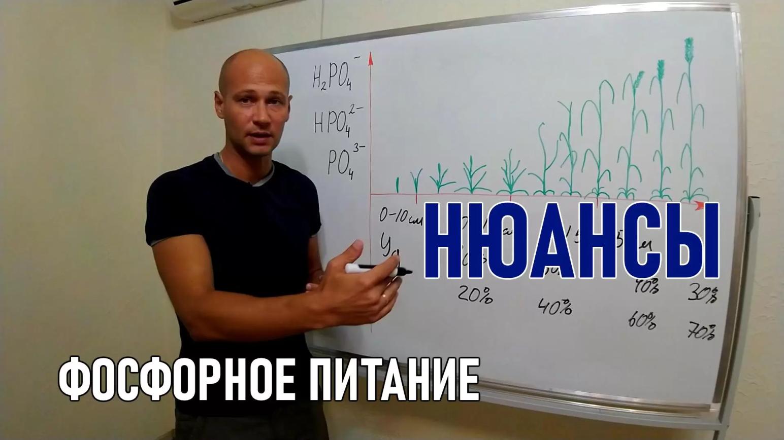 Особенности фосфорного питания из почвы и удобрений