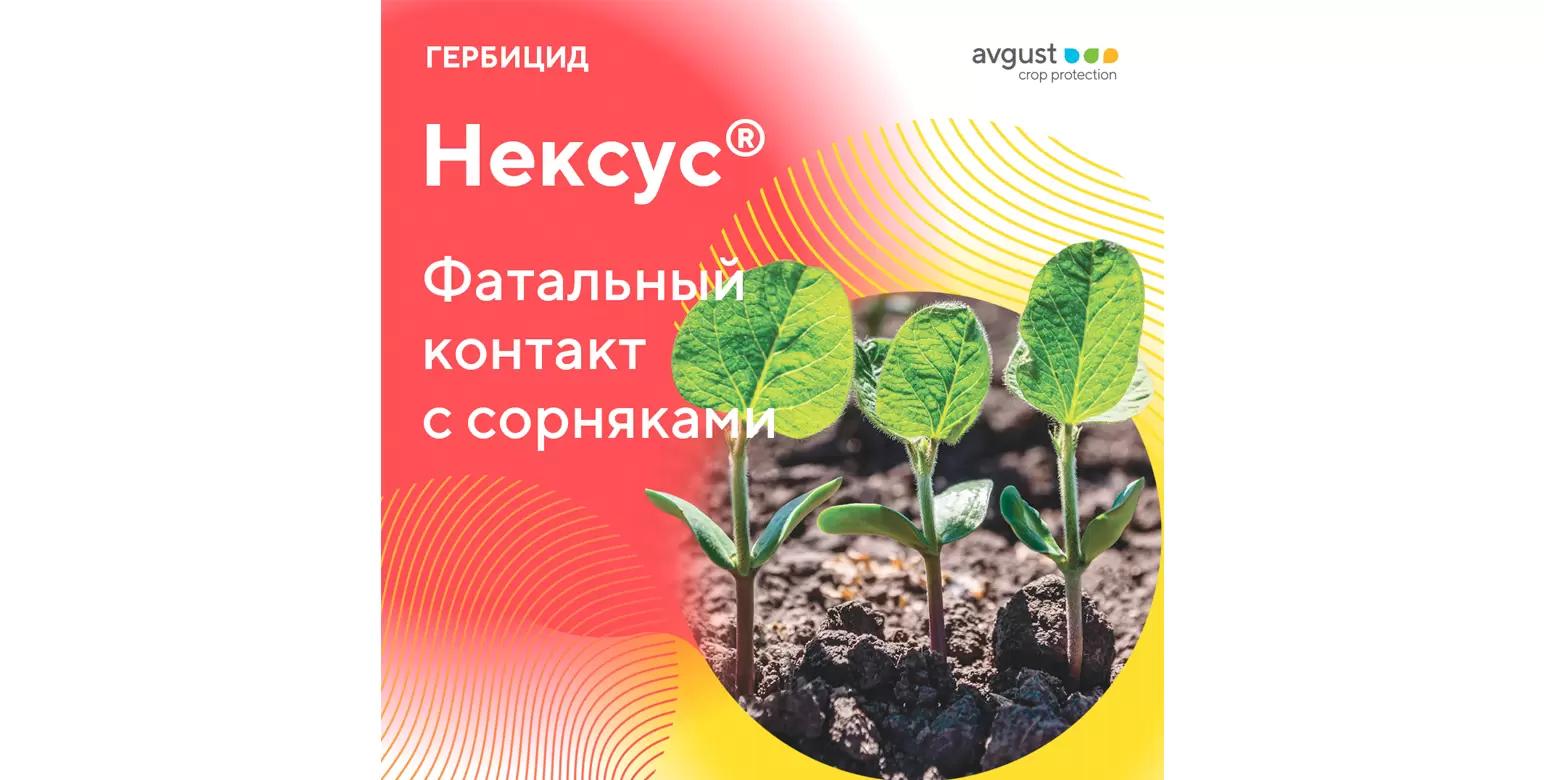 Эффективная защита сои от сорняков