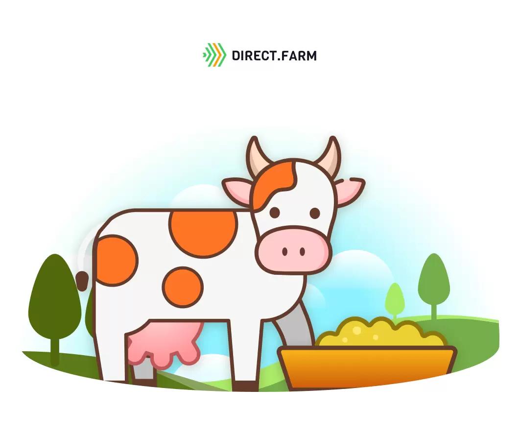 Сигналы коров: передние ноги на кормовом столе